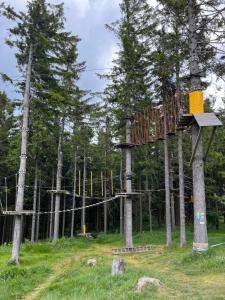 a tree house in the middle of a forest at Apartmán Plešivec ALL4FUN u sjezdovky in Abertamy