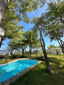 a swimming pool in a yard with trees at Z-Villas Beach Hotel in Marmaris