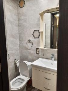 Apartment on Vazha-Pshavela VI, 1A في تبليسي: حمام مع مرحاض ومغسلة ومرآة