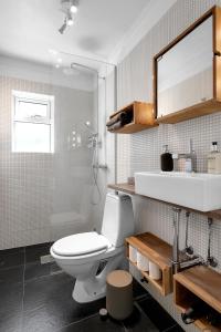 y baño con aseo, lavabo y ducha. en Lali Full Apartment en Reikiavik