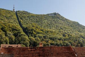 a hill with trees and a house on top of it at Aries' Collection Luxury Suites in Braşov