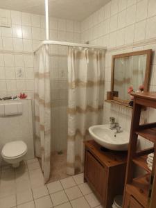 a bathroom with a sink and a toilet and a shower at Ferienwohnung Nordlicht in Großdubrau