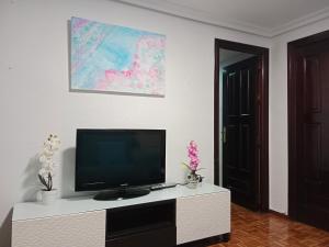 Televízia a/alebo spoločenská miestnosť v ubytovaní Apartamento zona Palacio de las Dueñas y las Setas