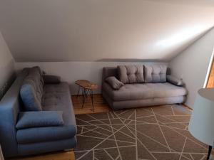 O zonă de relaxare la Crni vrh Divcibare