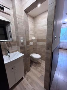 a bathroom with a toilet and a sink at Noclegi Gambit Cieszyn 24h in Cieszyn +1 photo