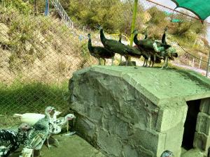 Gallery image of Rohtas Resort & Recreation in Dina