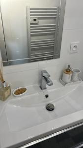 a bathroom counter with a sink and a mirror at Appart.confortable, place Dupuy. in Toulouse