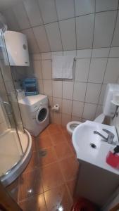 La petite salle de bains est pourvue de toilettes et d'un lavabo. dans l'établissement Odmor, à Šavnik