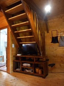 a living room with a tv and a wooden wall at Odmor in Šavnik