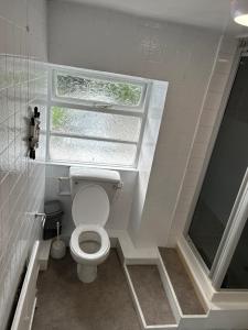 a small bathroom with a toilet and a window at Holland arms hotel in Llangristiolus