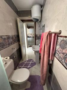 a bathroom with a toilet and a sink at Apartment Hossam 1 in Hurghada