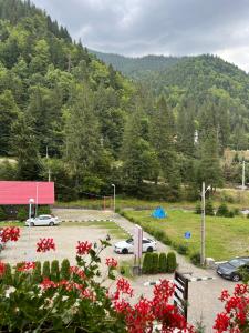 a parking lot with cars parked in front of a mountain at Hotel-Restaurant Siesta Balea in Cumpăna