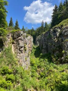 a rocky hillside with grass and trees on it at Apartmán Plešivec ALL4FUN u sjezdovky in Abertamy