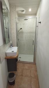 een badkamer met een douche en een wastafel bij Gîte La Source de Label in Saint-Jean-et-Saint-Paul