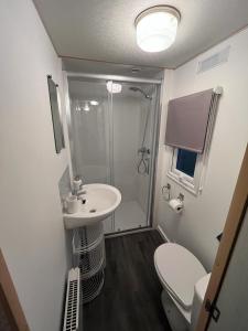 een badkamer met een douche, een wastafel en een toilet bij GB36 in Chapel Saint Leonards