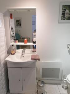 La salle de bains blanche est pourvue d'un lavabo et d'un miroir. dans l'établissement Le Petit Chalet -Appartement proche de la vieille ville , du centre ville et du Tram- PETIT DEJEUNER OFFERT, au Mans