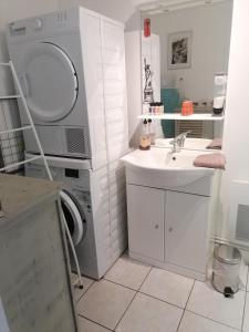 ein Badezimmer mit einem Waschbecken und einer Waschmaschine in der Unterkunft Le Petit Chalet -Appartement proche de la vieille ville , du centre ville et du Tram- PETIT DEJEUNER OFFERT in Le Mans