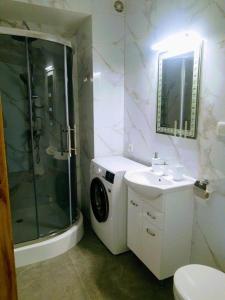 a bathroom with a shower and a sink and a toilet at Bounty in Busko-Zdrój