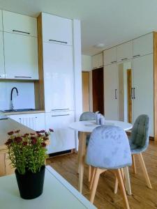 een keuken met een tafel en stoelen in een kamer bij Bounty in Busko-Zdrój