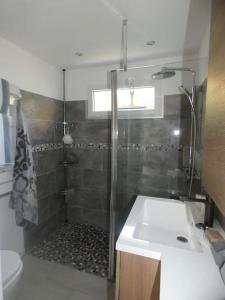 a bathroom with a shower and a sink at Studio avec jardin proche plage Six Fours/Sanary in Six-Fours-les-Plages