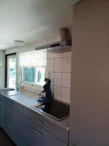 a small kitchen with a sink and a window at Pak oe rust, bij stacaravan Busscher in Geesteren