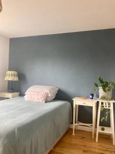 a bedroom with a blue wall with a bed and a table at Sunny apartment by the river in Kelso