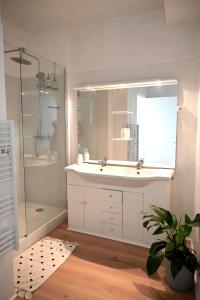 y baño con lavabo grande y ducha. en La Gaieté - Meilleurhote-Brioude, en Brioude