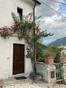 奇維泰拉阿爾費德納的住宿－Casa Val di Rose，有一扇门的房子和一棵玫瑰树