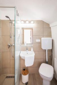 La salle de bains est pourvue de toilettes, d'un lavabo et d'une douche. dans l'établissement Ferienwohnung Alter Brotladen, à Melk