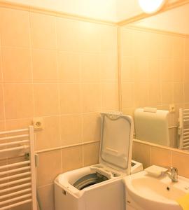 a bathroom with a toilet and a sink at Slnečný 2-izbový apartmán Pod lesom, Dolný Smokovec in Vysoké Tatry