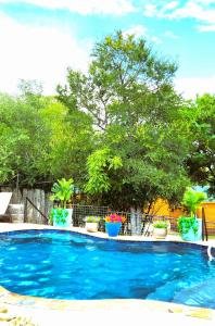 a blue swimming pool with potted plants on a fence at Al's Hideaway Cabin and RV Space, LLC in Pipe Creek