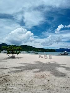 due sedie e un albero su una spiaggia di Greenviews Resort & Restaurant Port Barton a San Vicente