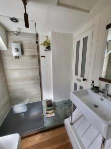 a bathroom with a sink and a shower at Aviemore Rye in Rye
