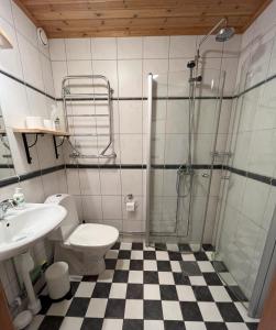 a bathroom with a shower and a toilet and a sink at Markusfolks Gård in Torsby