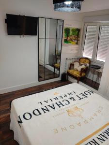 Pokój z łóżkiem, telewizorem i lustrem w obiekcie Gran Reserva Suites centro alojamiento entero w mieście Logroño