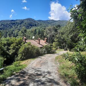 a dirt road leading to a house on a mountain at CascinaMirta in Andorno Micca