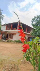a house with a red flower in front of it at Blue Petal Homestay in Virajpet