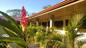 a red flower in front of a house at Hotel D'Lucia - Quebrada Ganado, Jaco, Costa Rica in Puntarenas