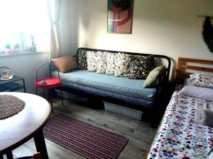 salon z kanapą i łóżkiem w obiekcie Pokoje goscinne u Olguni w mieście Chyrowa