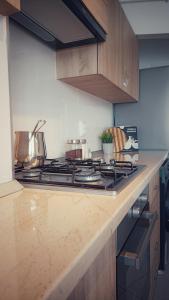 una cocina con estufa y encimera en Central View Calimanesti, en Călimăneşti