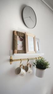 un estante con reloj y una planta en la pared en Central View Calimanesti, en Călimăneşti