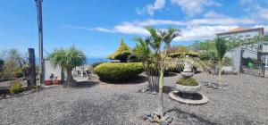 ロス・ジャノス・デ・アリダネにあるApartamento Mayato 1の噴水とヤシの木と海のある庭園