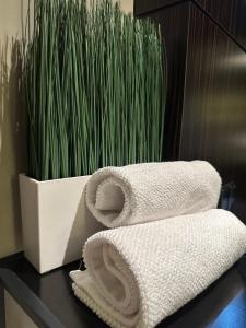 stos ręczników na stole z rośliną w obiekcie Zimmer - Modernes Apartment mit 45 qm. w mieście Straubing