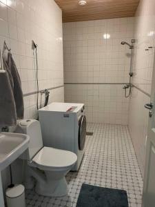 a bathroom with a toilet and a sink at Saunallinen kaksio keskustassa in Kokkola