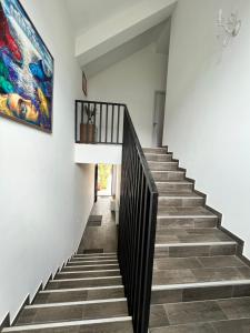 兹内特耶Guest House PIROSMANI的相册照片