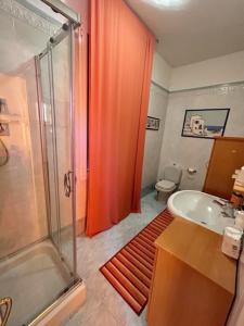 a bathroom with a shower and a sink and a toilet at B&B La Casa del Barbiere in Albareto