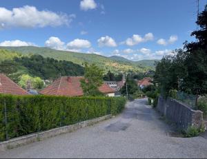 eine Straße in einer Stadt mit Häusern und einem Zaun in der Unterkunft Chez Bruno in Rothau