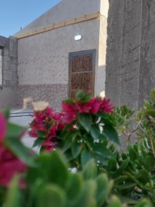 Gallery image of Green Garden Rooftop in Madaba