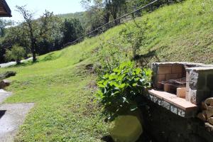 a grassy hill with a fence and a plant at Appartamento Nando in Pian di Novello +5 photos