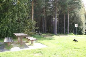 Haiwan peliharaan atau haiwan-haiwan peliharaan yang menginap dengan tetamu di Dovreskogen Gjestegård AS